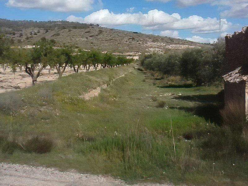 Terreno 11.000 m² en Yecla, Murcia