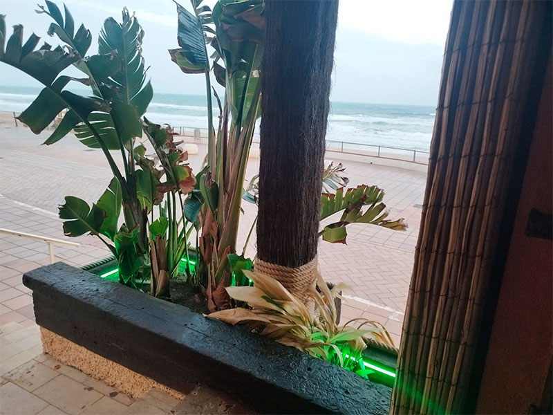 Alquiler y traspaso en Guardamar de Bar al lado del mar