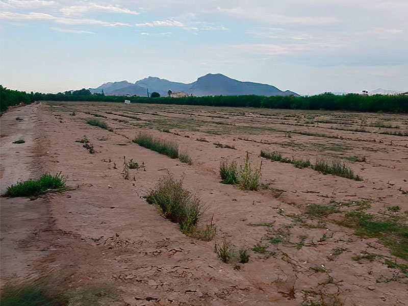 Terreno 10.800 m² en Orihuela