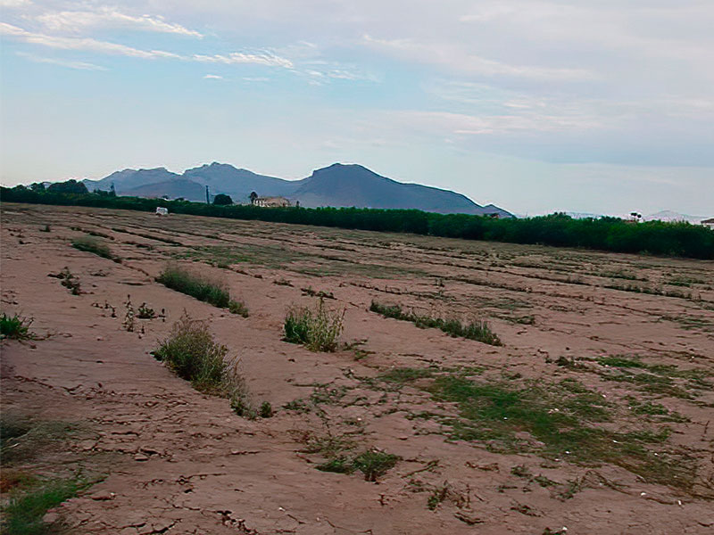 Terreno 10.800 m² en Orihuela