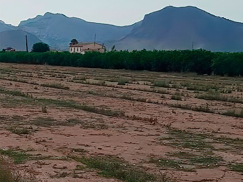 Terreno 10.800 m² en Orihuela