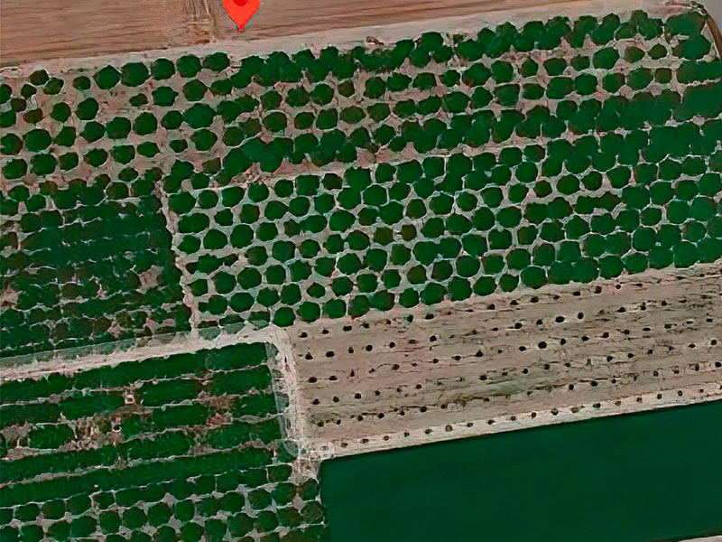 Terreno 10.800 m² en Orihuela